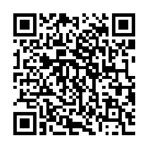 我知道这么狗血的家庭亲情伦理冲突你一时半会儿肯定很难接受二维码生成