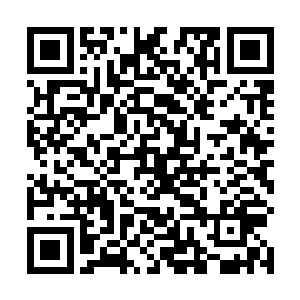 我离家出走前还跟老爹保证以后会带着你回去见他的呢二维码生成