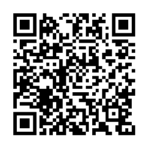 我立刻在他师兄和师姐面前爆出他给尸王爆菊花二维码生成