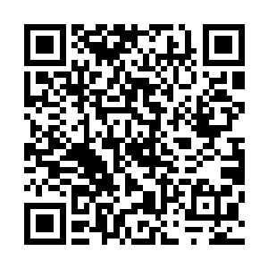 我竟然忍心一次次对这些可怜的无家可归的流浪狗下手……二维码生成