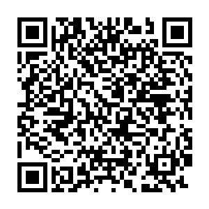 我竟然本能的将他慢慢的从那些发着淡白光芒的灵体中间朝我拉近二维码生成