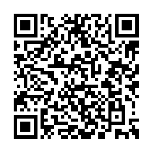 我竟然还鬼使神差的把这药材给收进了包袱之中二维码生成