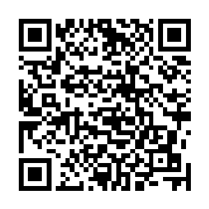 我第一次直播打了五个小时人数最多时也就一万出头而已二维码生成