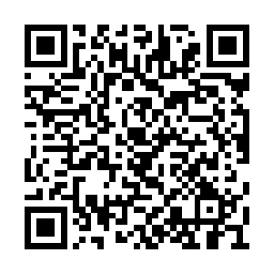 我等四人联手便是一般的帝尊境都可以拼一拼了二维码生成