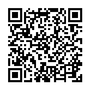 我终于明白厄瑞昂人为什么不会遭到食人草的攻击了二维码生成