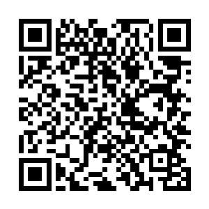 我绝对不允许你草率地跟一个卖羊肉串出身的男人结婚二维码生成