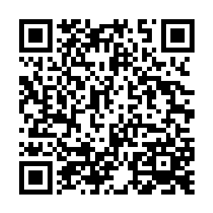 我继续跟你说说我后来跟妈妈来芝安市的事情……二维码生成