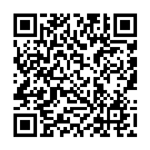 我老人家在杜家拍卖行你买下那龙神玉时就已经醒了二维码生成