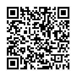 我能让那些不可一世的公子哥同意把股票卖给咱们二维码生成