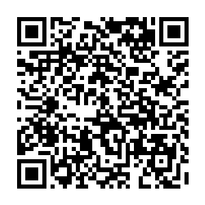 我脑子里忽然就闪现了一条青木颜色的巨龙外加一只通体色彩斑斓的大老虎二维码生成