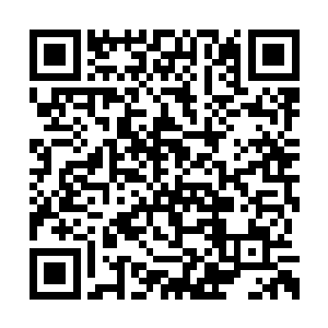 我自己就找到了一个温暖的地方使劲儿蹭啊蹭的二维码生成