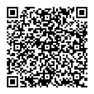 我自然是没有那么多女人的……但现在的问题可不光是我老婆才要驻颜丹……我父王也是有老婆的……这些个女人二维码生成