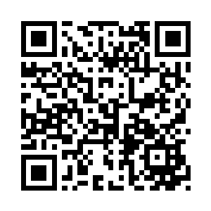 我至今只能制造出最简单的掌上机二维码生成