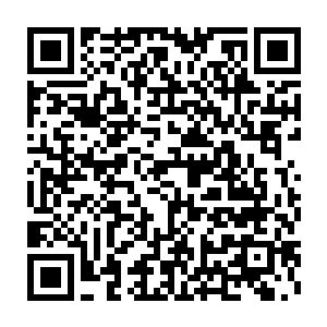 我若能证明我能以常人十倍以上的速度吸收地元水晶之中的地之元素二维码生成
