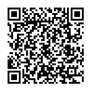 我虽然不知道龙凤两族为什么会冒大不讳的直接介入大肆屠戮归真阁部众二维码生成