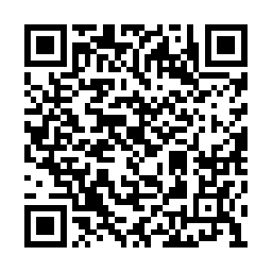 我虽然希望我的直系血裔能够登上候选人的位置二维码生成