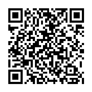 我要亲手培养出这世间独一无二的恐龙尸兄战队二维码生成