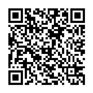 我要你们做的就是保护住叶氏抗癌药秘方不被泄露二维码生成