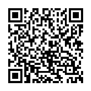 我要把他们的骨头全部活生生地抽出来做成尿桶二维码生成