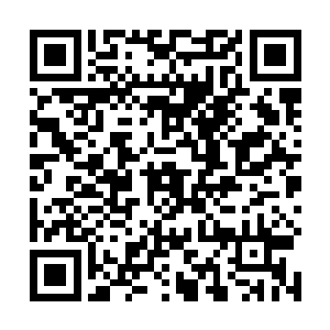 我觉得可以给这个学生一个直通省级中学生大赛的资格二维码生成