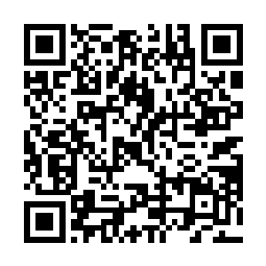 我觉得奶奶当初那么反对你跟王楠在一起是有别的原因二维码生成