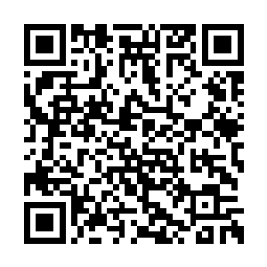我觉得成长就是一个人痛得时候不会再表现出来二维码生成