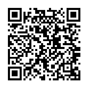 我觉得我们可以拦一辆车……米国人都很热情好客二维码生成