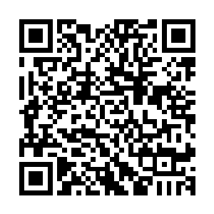 我觉得荣就连每一个细胞都是用来自外太空的未知金属制作的二维码生成