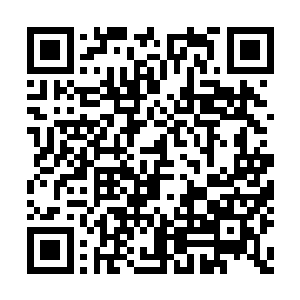 我觉得那个什么秦双双肯定没有爱丽丝那么漂亮二维码生成