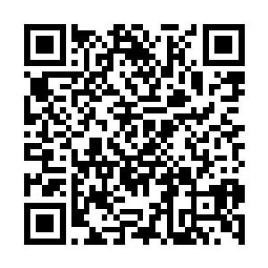 我认为动力7号和动力8号很难寻找到海山102号……二维码生成