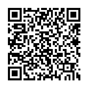 我让修罗星的灵智撤去了作用在他们身上的域场二维码生成