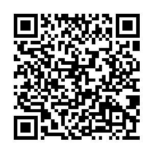 我让焦广冲和康玉芹夫妇去交了一万元的住院费二维码生成