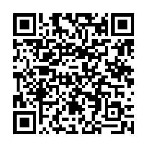 我记得上一次你来宋州看望老安的时候都见过面了二维码生成