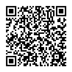 我记得上次我和小秋去她打工的餐厅帮忙之后好像就没怎么见过面了二维码生成
