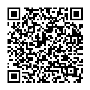 我记得去年瑞华公司的营业额也突破一个亿了呀……今年怎么会下滑的这么厉害二维码生成