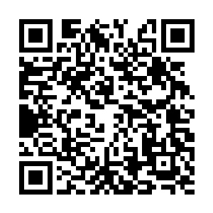 我记得哥哥几年前出门游历的时候也有强者跟随啊二维码生成