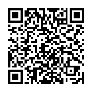 我记得城西那块地皮是交给了一个叫胡军的私人承包商二维码生成