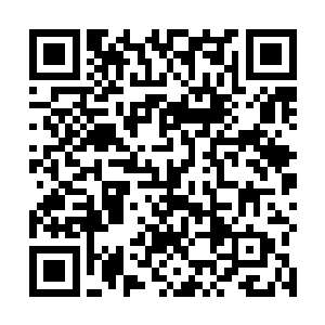 我记得我们高中有一册美术鉴赏的专题就是明朝山水画二维码生成