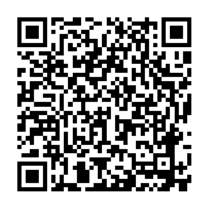我记得我和小哥小时候也有类似的感觉……大概这就是双胞胎的神奇之处吧二维码生成