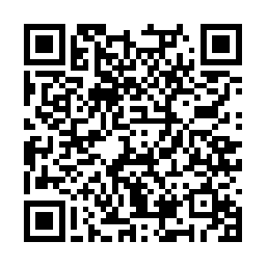 我记忆中的步聪不会拿着给我奔丧当幌子远走边疆二维码生成