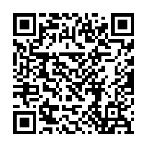 我说我决定把方寸公司在梨花村的全部项目撤出二维码生成