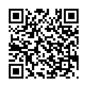 我说让你来帮我打架只是随便说说而已二维码生成