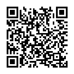 我贪婪的手和鼻子并用的将这些魔气收揽进身体里二维码生成