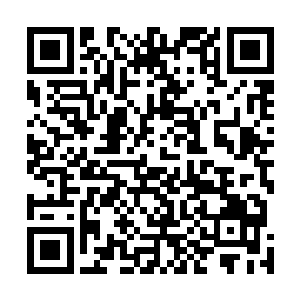 我赌萧摇明天或者过几天肯定又会来求我做她的男朋友的二维码生成
