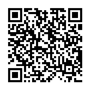 我走了你也莫跟那些酸腐的人学着什么守孝吃素之类的二维码生成