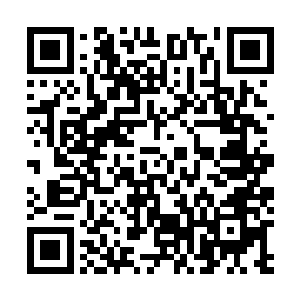 我走到楼梯口的时候还清楚的听到了陈水瑶喊救命的声音二维码生成