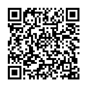 我跟你说这些不是让你去同情无角人和其他物种二维码生成