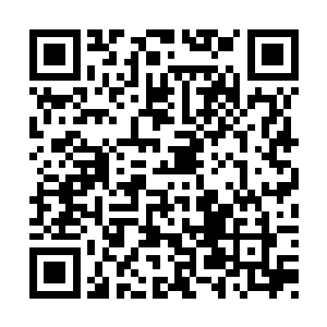 我跟展队两人都没有多少心思跟他们解释为什么二维码生成