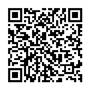 我跟洛林还有千山他们费心力去仙都地下卖场可就是一场空了二维码生成