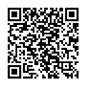 我身后的蝎子一边追逐我一边吞吃着血海中的尸体二维码生成